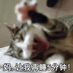 回国别高兴太早，过了三周让你回到现实