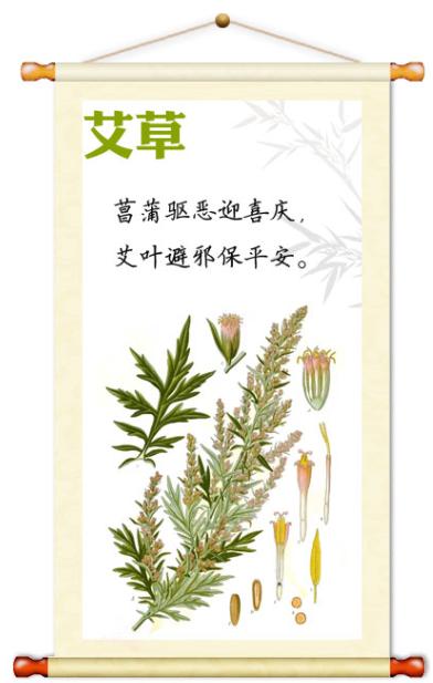 艾草止痒祛湿最好的方法,端午艾草有这种妙用