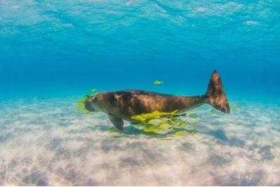 加勒比海盗拍摄地旅游,加勒比海盗4泰国取景地