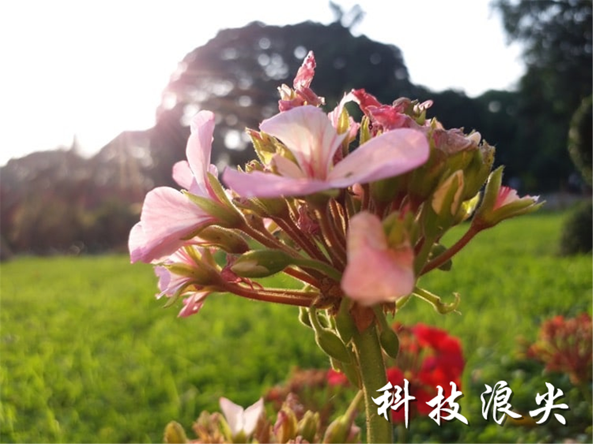 三星galaxyc7pro报价,三星galaxyc7pro配置