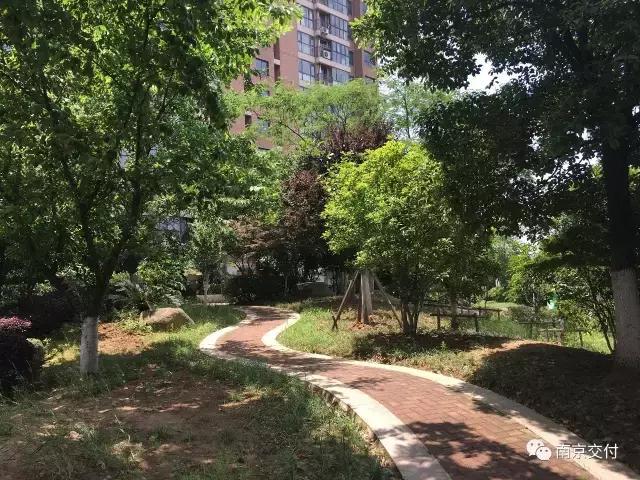 板桥小区怎么样啊,板桥比较好的新小区