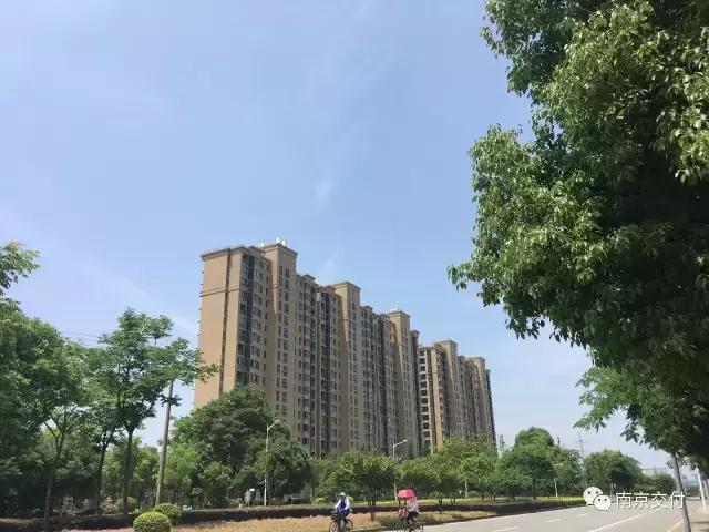 板桥小区怎么样啊,板桥比较好的新小区