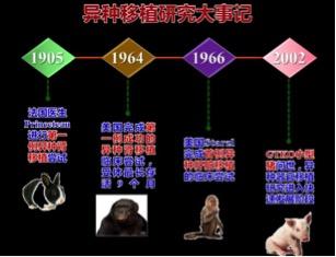 猪肝移植给人类器官有成功的吗,人类首例猪肝移植术