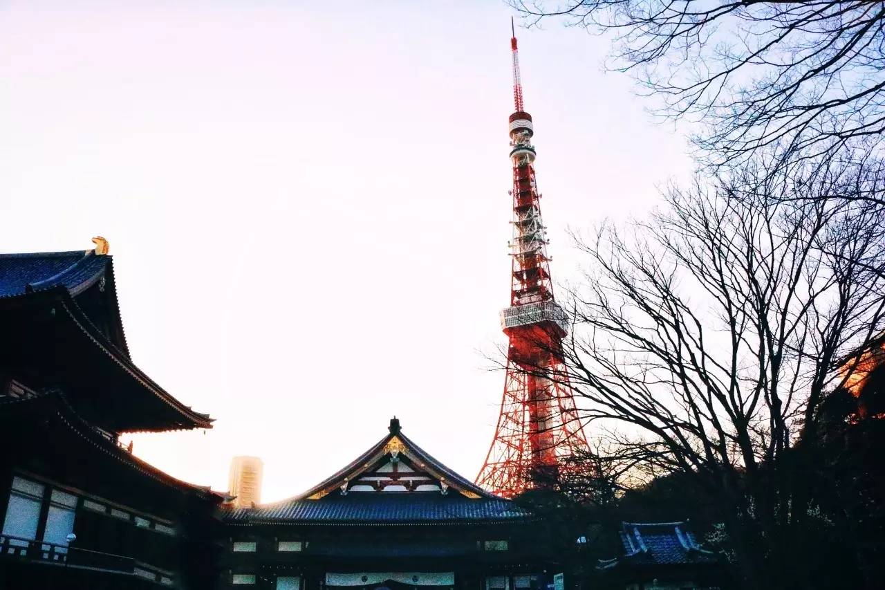 东京Tokyo丨如果你不爱她，请别招惹她