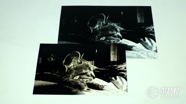 柯达最强胶卷,柯达胶卷现状