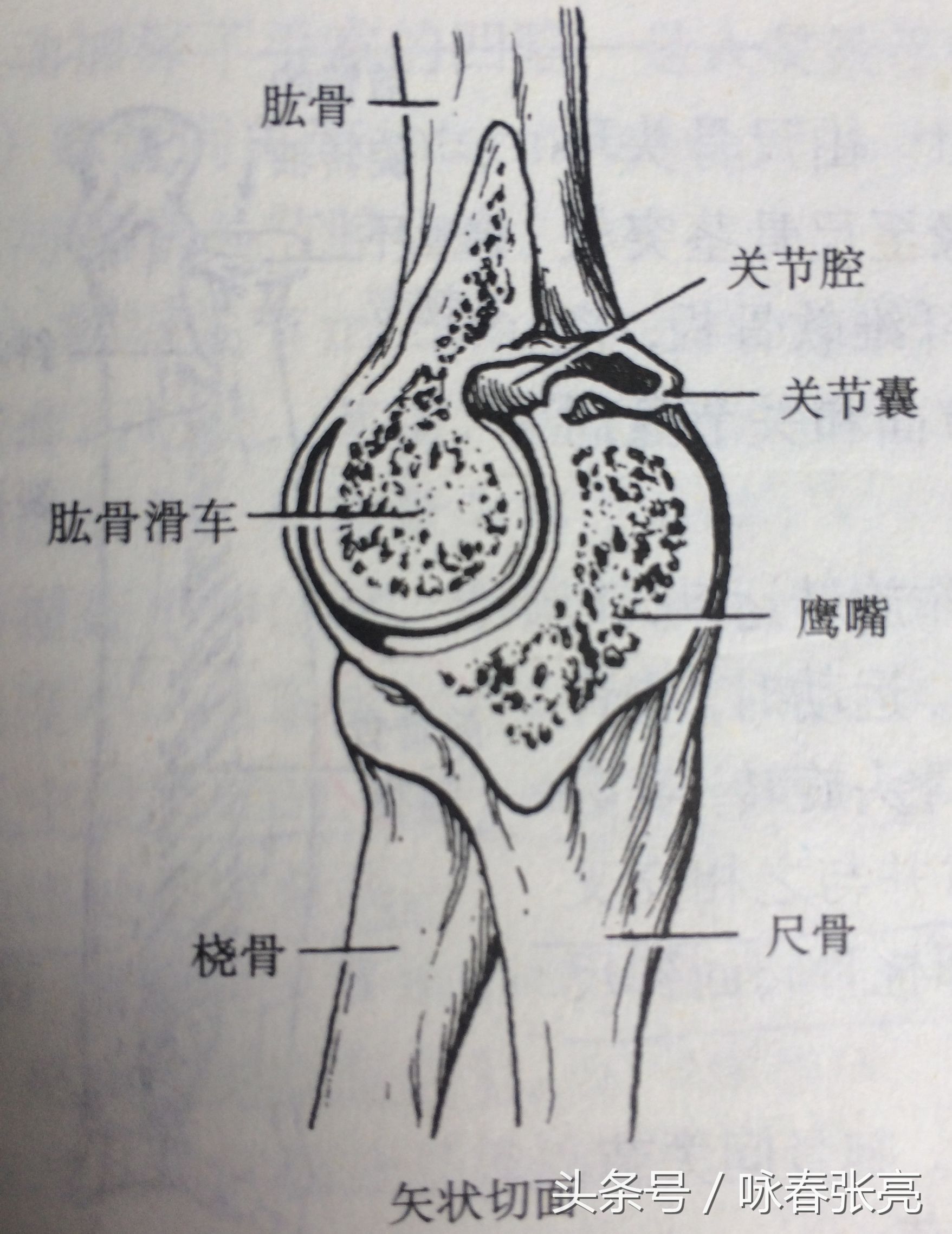 如何修炼咏春拳内劲,咏春拳的杀伤力在哪