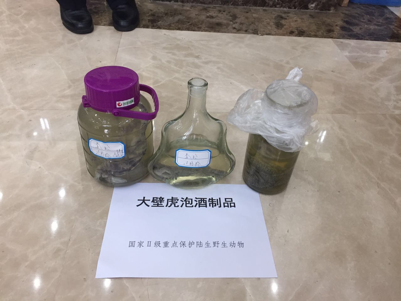 男士国外代购,跨国代购野生动物