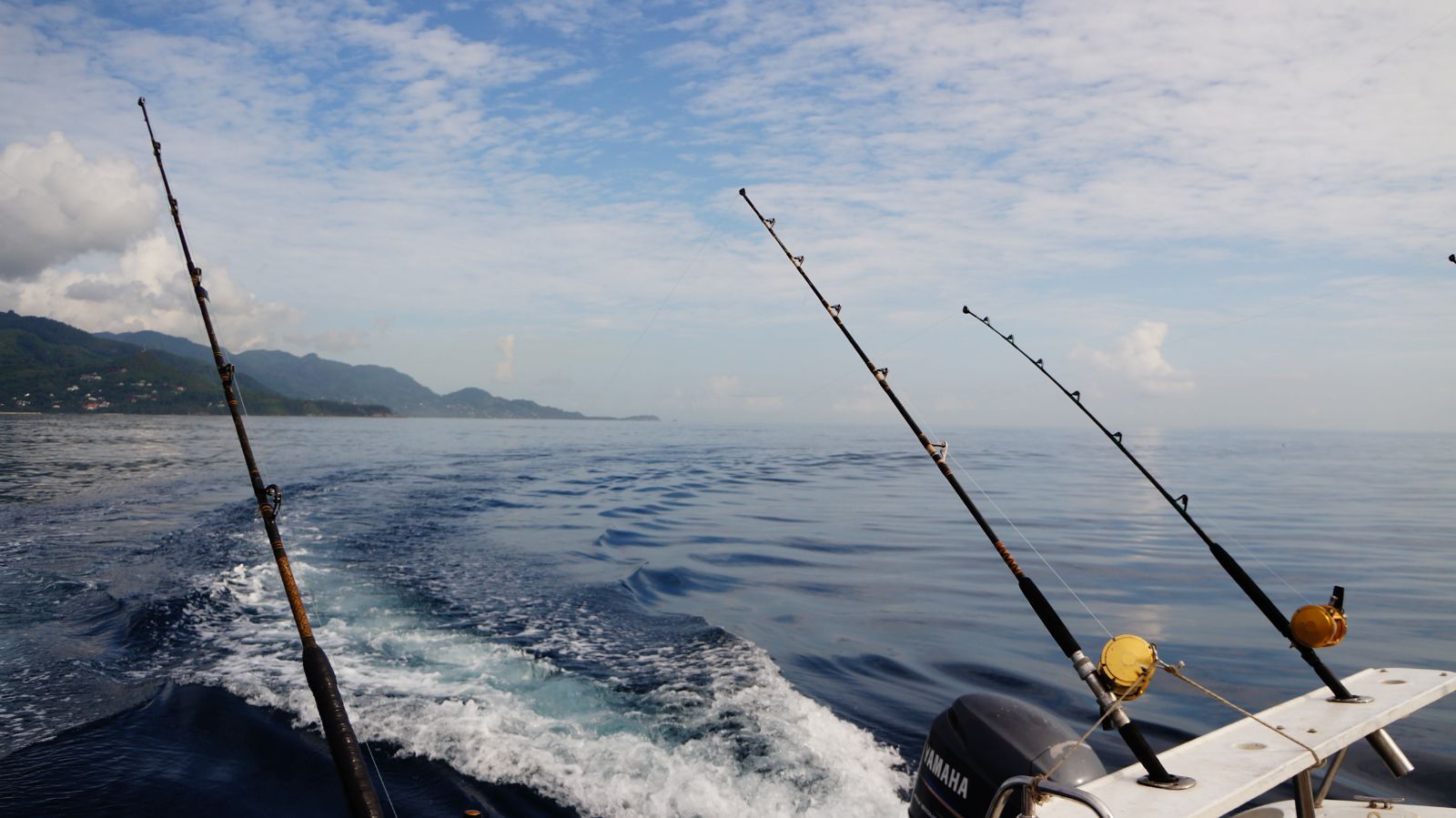 钓带鱼最好用什么饵料最好,钓带鱼用闪光灯好还是常亮的好