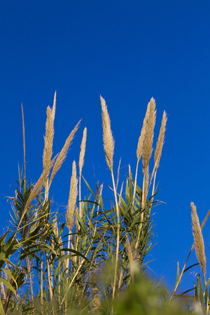 医生说有点医学常识好不好,寒凉药物损伤阳气怎么恢复