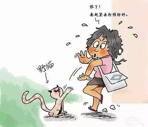 被动物咬伤了怎么办安全教案,被动物咬伤怎么办安全教育