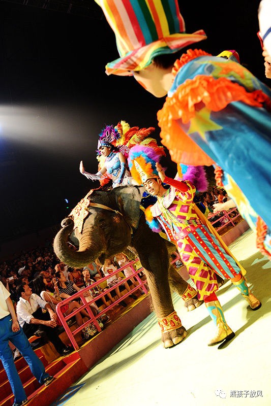 旅游攻略广州长隆野生动物园,游玩广州长隆野生动物园攻略