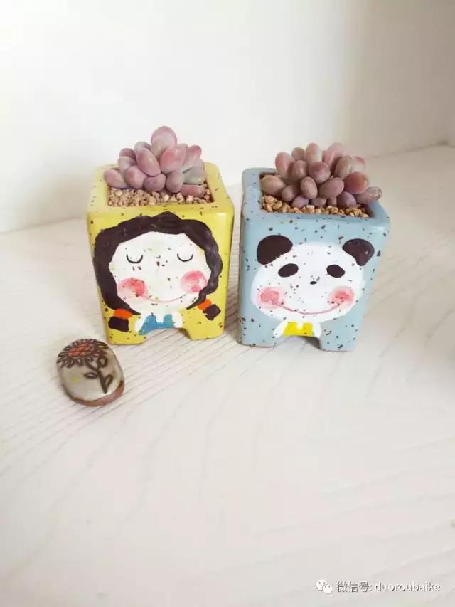 老桩多肉爱生根吗,多肉老法师老桩名品