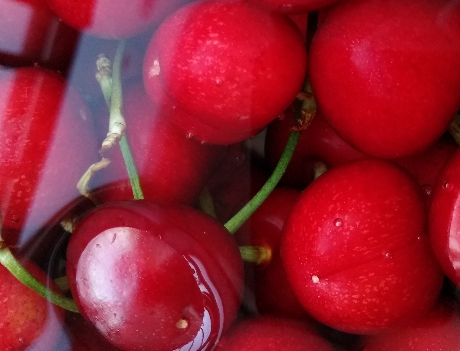 锤子坚果pro2s测评照片,锤子坚果pro2拍照效果