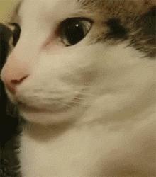 看到这张照片你最先想到的是什么,看到这张照片你最先想到的是谁