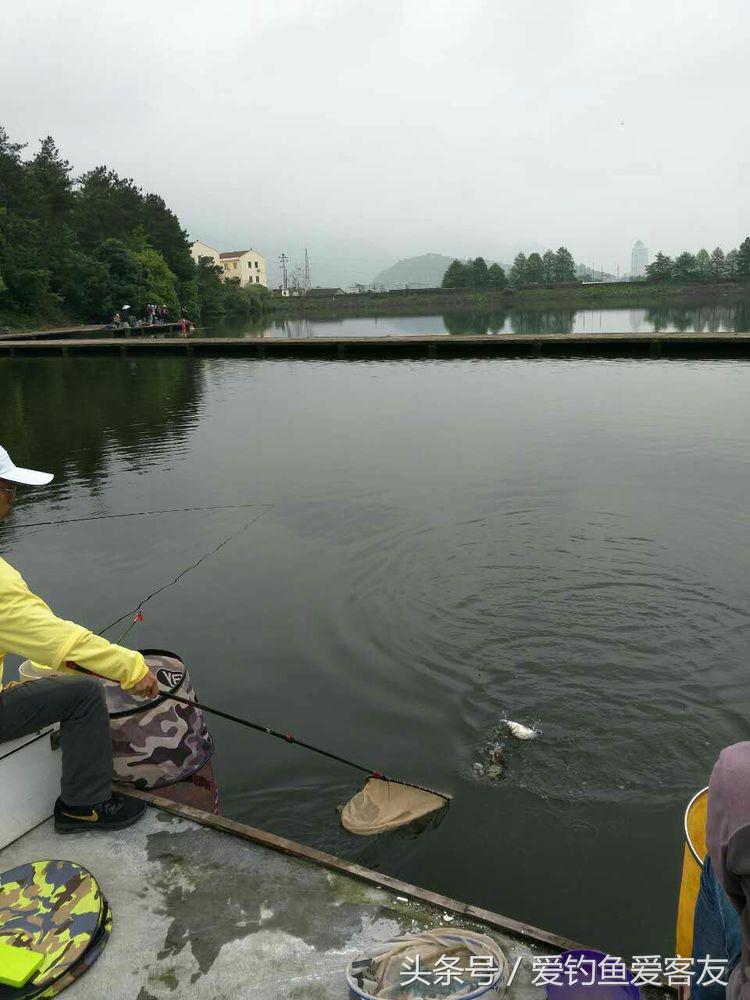 娴呭鑺姵缇庢枃,娴呭鑺姵