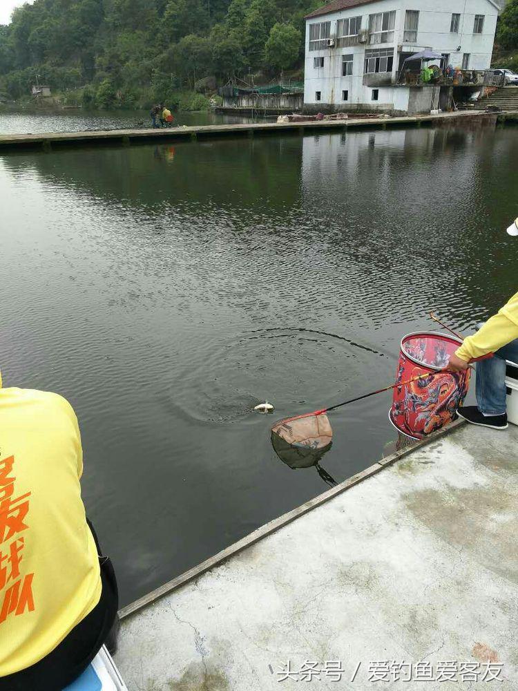 娴呭鑺姵缇庢枃,娴呭鑺姵