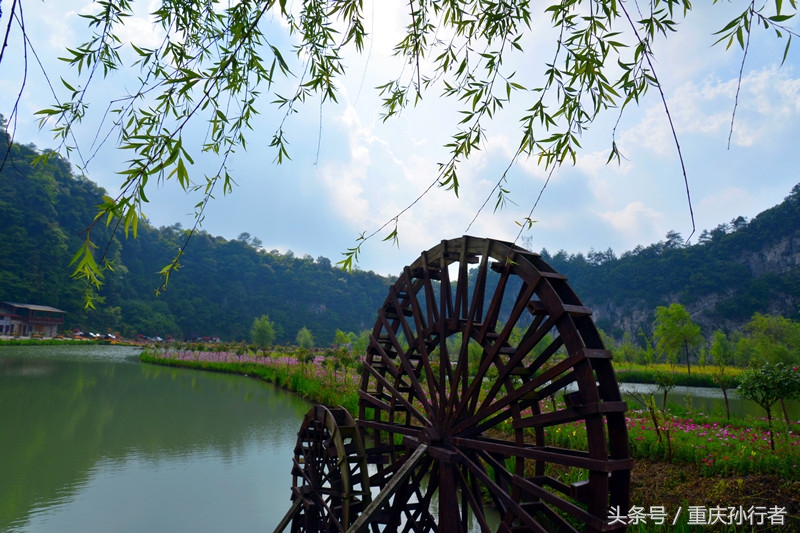 綦江花坝：以花为媒村民吃上旅游饭