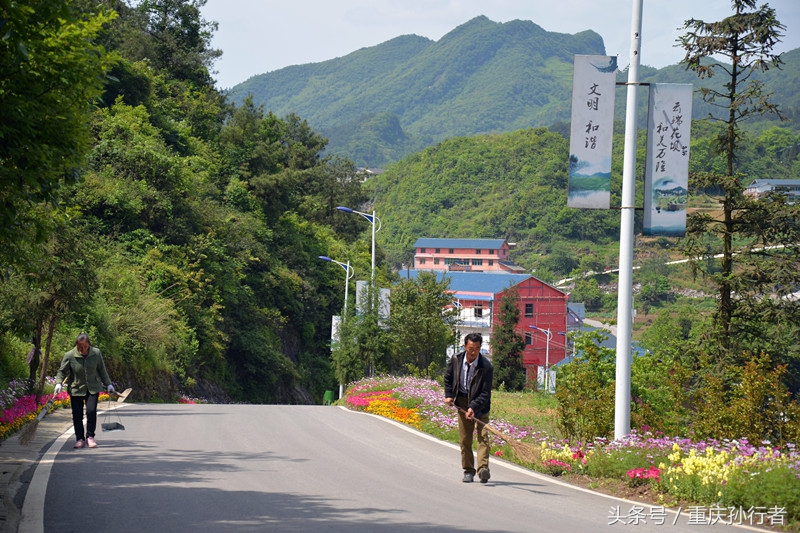 綦江花坝：以花为媒村民吃上旅游饭
