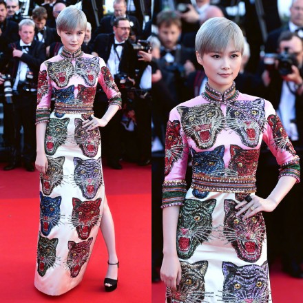 李宇春戛纳红毯秀被评为最佳着装,李宇春stop表演