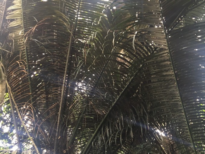 两个快乐的小阿妹神游三亚