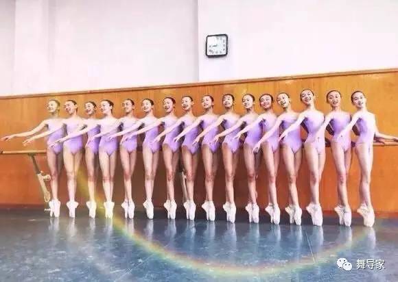 北舞有多难进,进入北舞有哪些条件