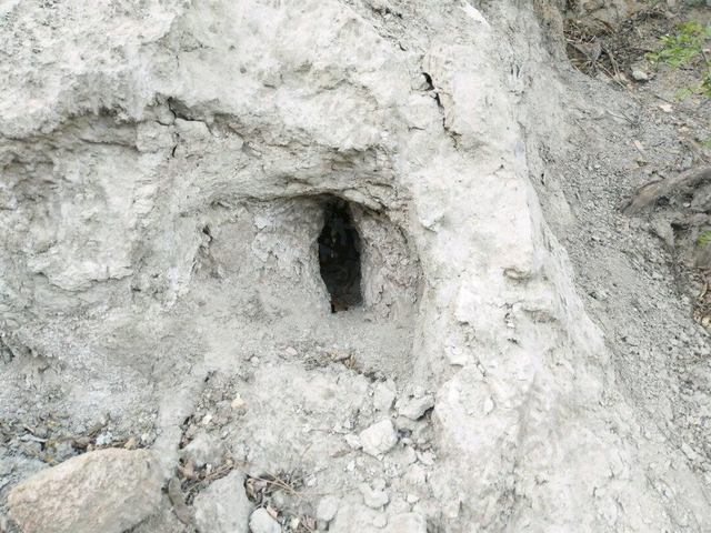 十条笑话：一个网吧网管在自杀前的遗书，看完还能再笑一会