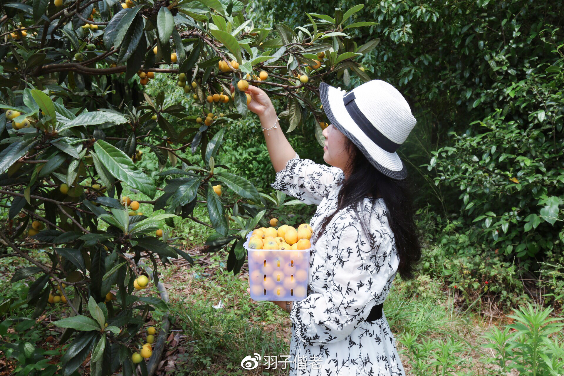 日日春农庄,日日春农业生态园