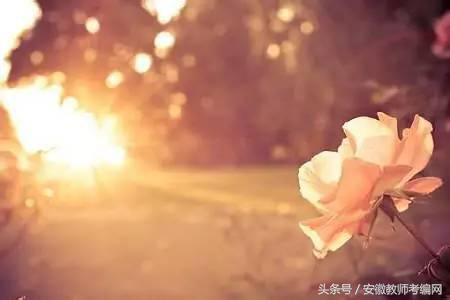 想当老师必须选哪些专业,想当教师有什么好的出路