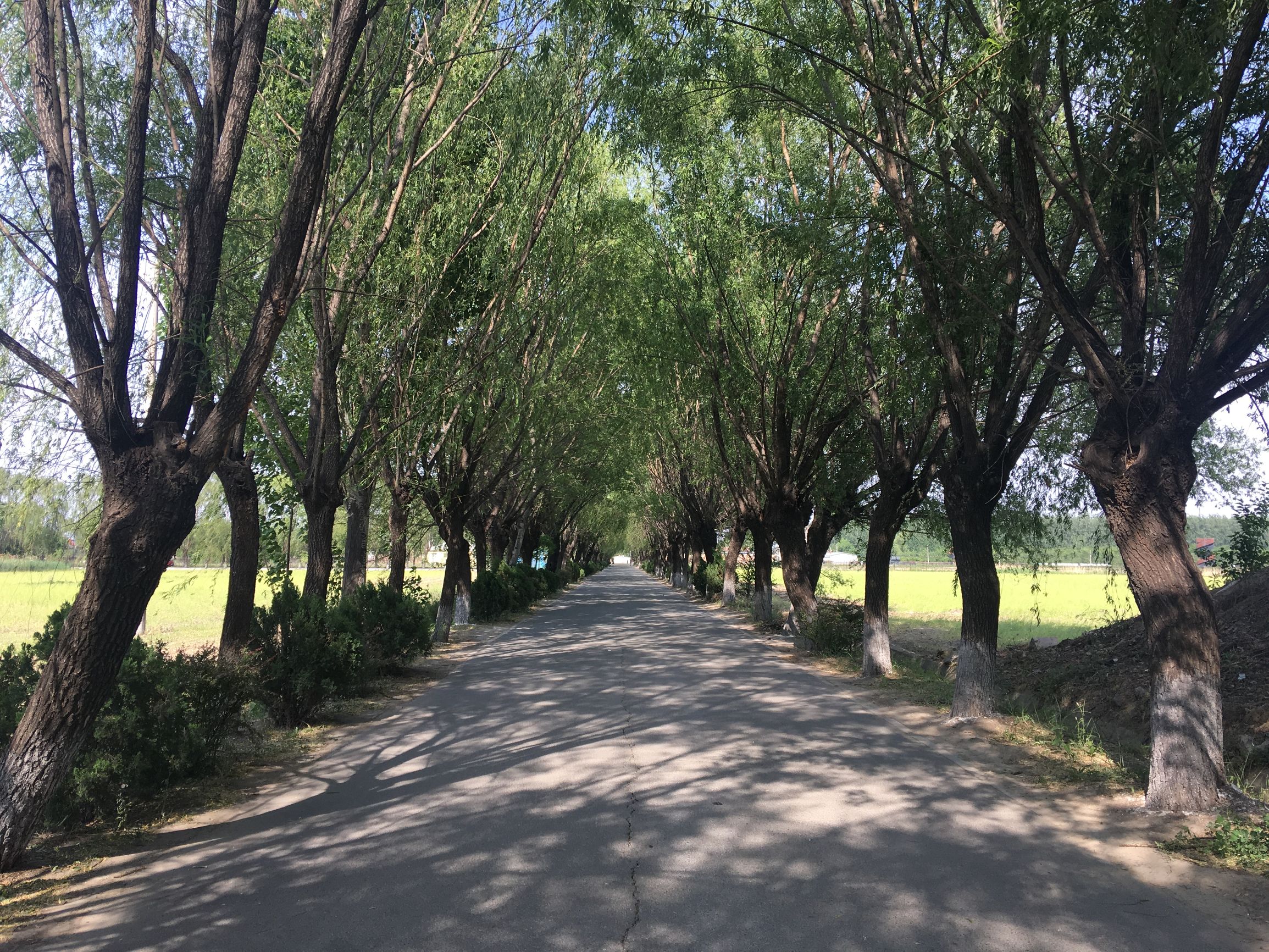 上庄水库常乐村,上庄水库好去处