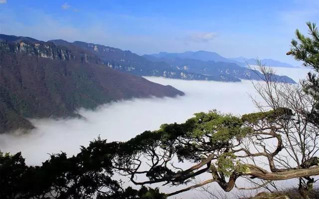 世界那么大，偏独爱神农架