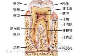 关于冷光美白你真的了解吗,冷光美白是什么原理