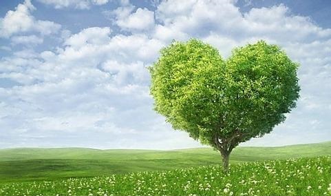 茜茜公主病情好转,茜茜公主被妈妈治好了病