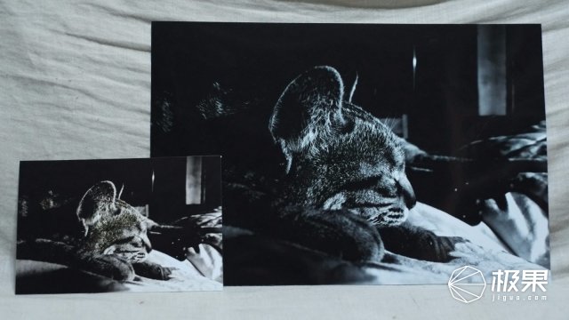 柯达最强胶卷,柯达胶卷现状