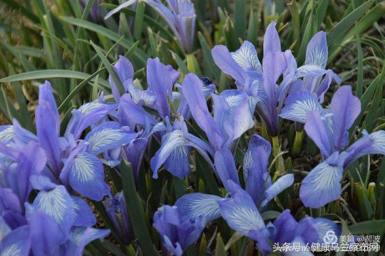 乌兰察布阿贵庙简介,乌兰察布阿贵庙好玩吗