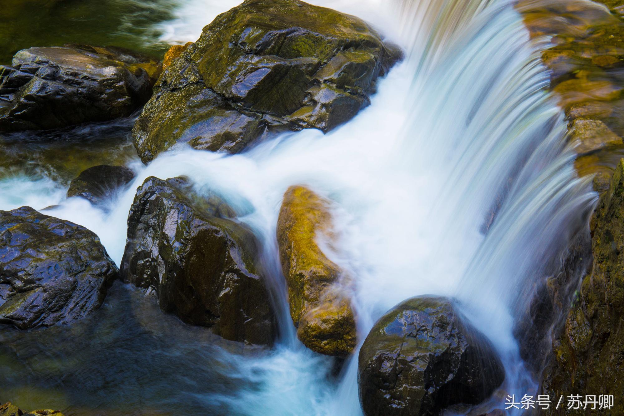在水下洞穴探险,森林海自由潜水