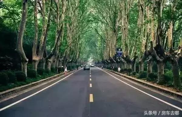 开着房车去南京,开着房车去旅行玩的就是不一样