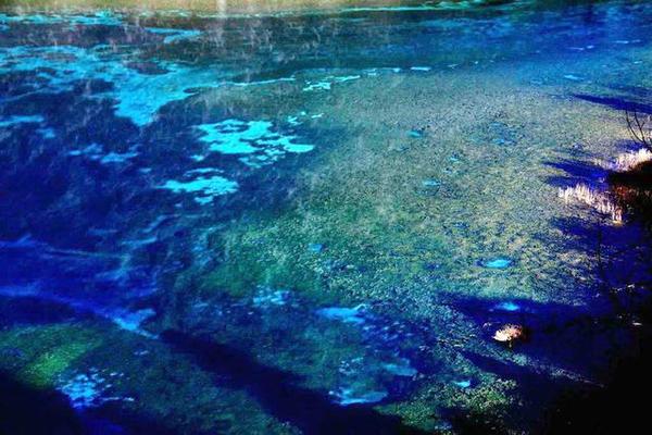 九寨沟的冬天是一幅精美的水墨画,冬天五彩池九寨沟