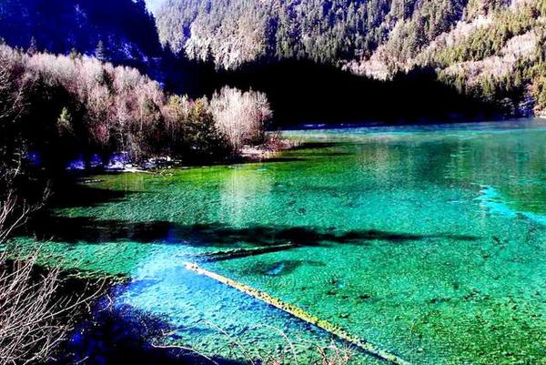 九寨沟的冬天是一幅精美的水墨画,冬天五彩池九寨沟