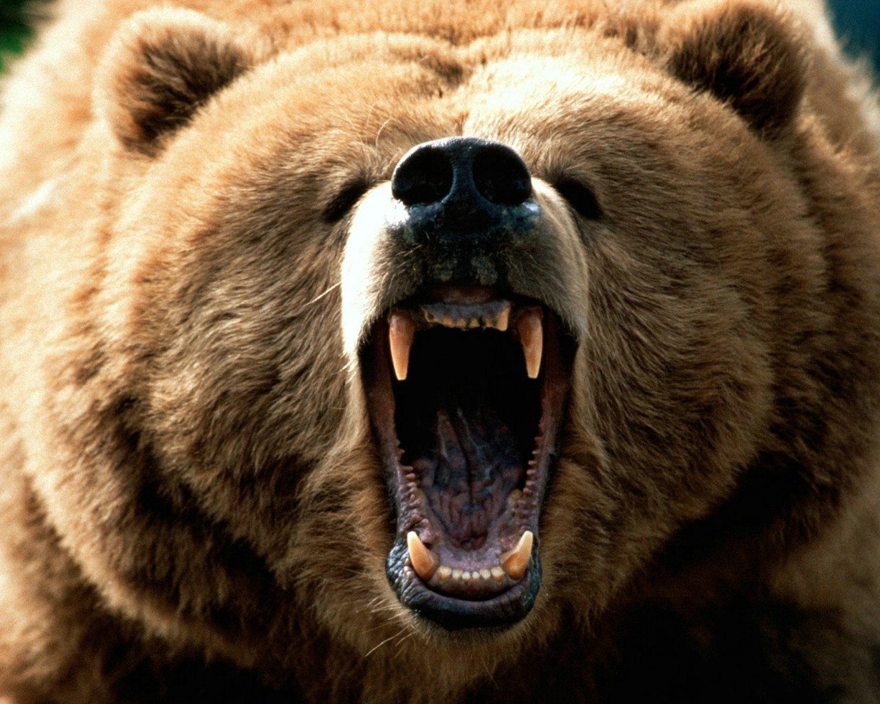 有哲理的脑筋急转弯,十万个脑筋急转弯