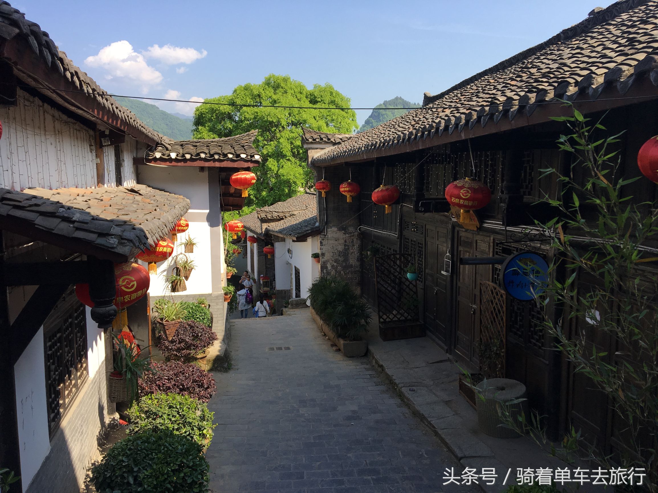 后柳水乡游船还是三峡游船好,汉江三峡和后柳水乡是一个景区吗