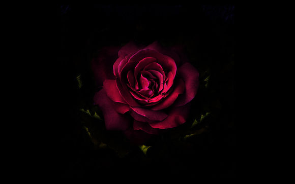 武林外传变态犯罪测试题,武林外传里的经典变态杀人狂