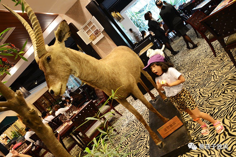 广州长隆野生动物园游玩攻略,广州长隆野生动物园攻略自由行