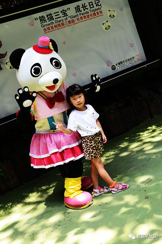 广州长隆野生动物园游玩攻略,广州长隆野生动物园攻略自由行