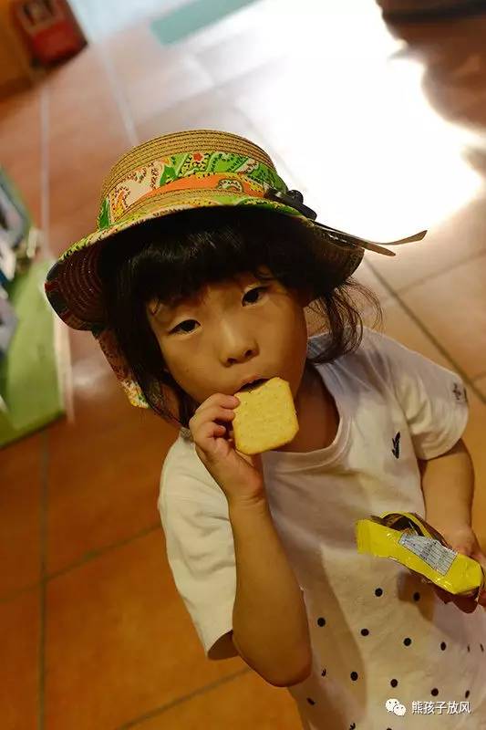 广州长隆野生动物园游玩攻略,广州长隆野生动物园攻略自由行