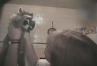 小狗偷吃口红拒不承认，铲屎的：喂，你当我是瞎吗！