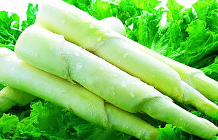 哺乳期吃什么食物增加乳汁分泌,促进乳汁分泌的食物有哪些