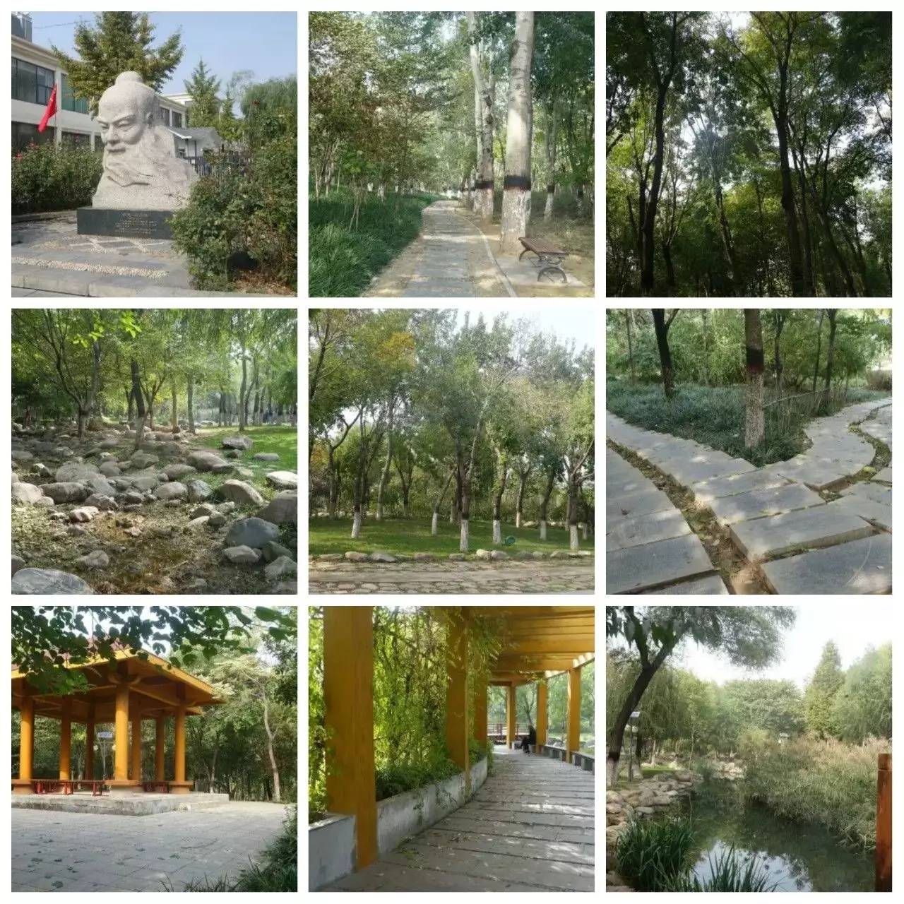 我用30万步，走遍石家庄公园