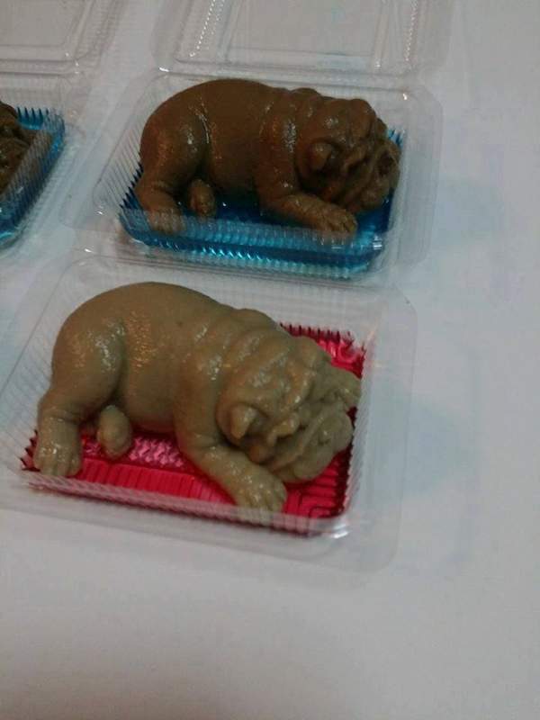 恐怖沙皮狗,沙皮狗恐怖视频