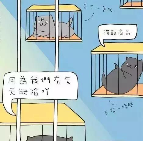 周柏豪361度 (周柏豪10周年)