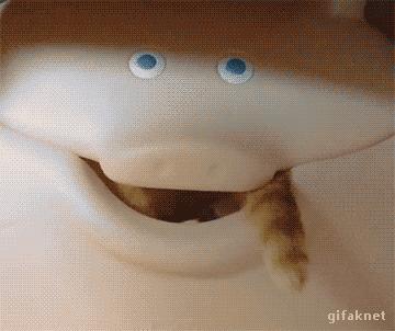 那些柔弱无骨的液体猫,其实猫咪才是水做的吧,最后一个绝了